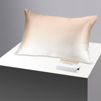 Pillowcase - Champagne Ombre - Standard