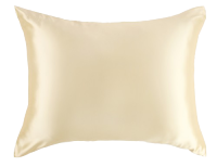 Menu icon for Custard Collection