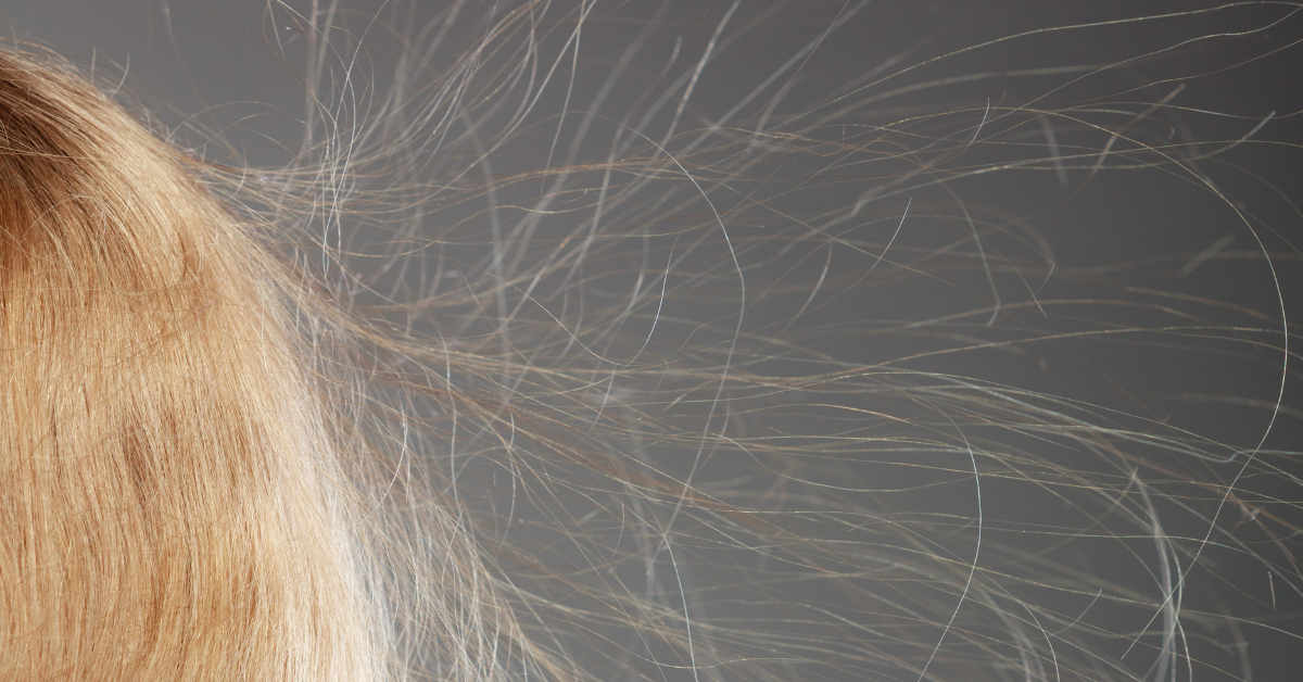 How to Get Rid of Static in Hair Blissy United Arab Emirates