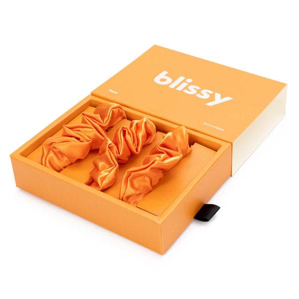 Blissy Coral Blissy Scrunchies – 22 Momme Mulberry Silk, 100% Silk