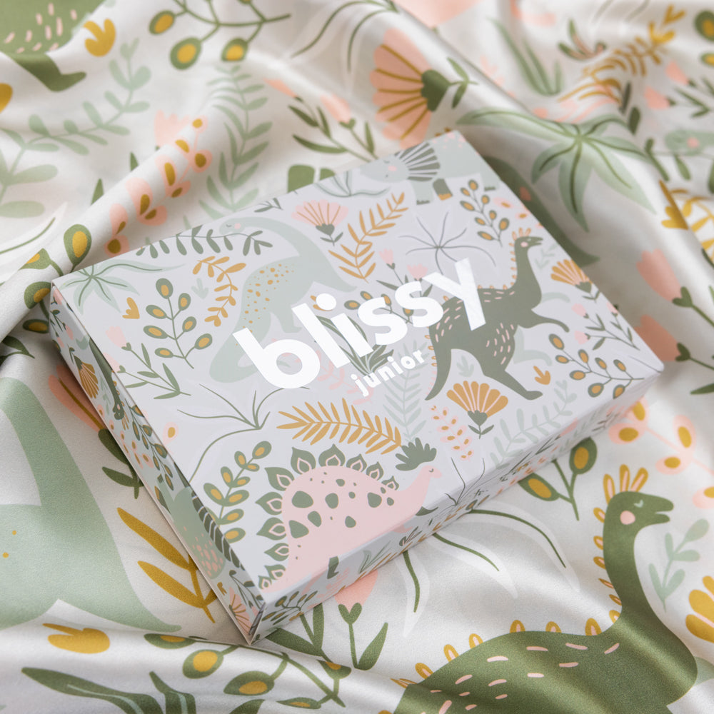 Dinosaur Pillowcase Close-Up – Blissy 22 Momme Silk